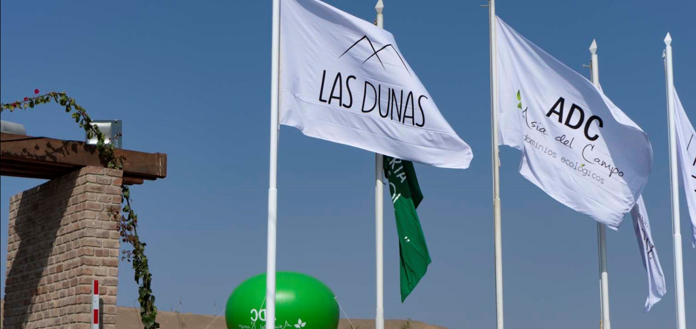 Las Dunas de Asia 2